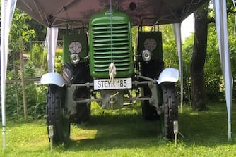 Steyr T185, Oldifan